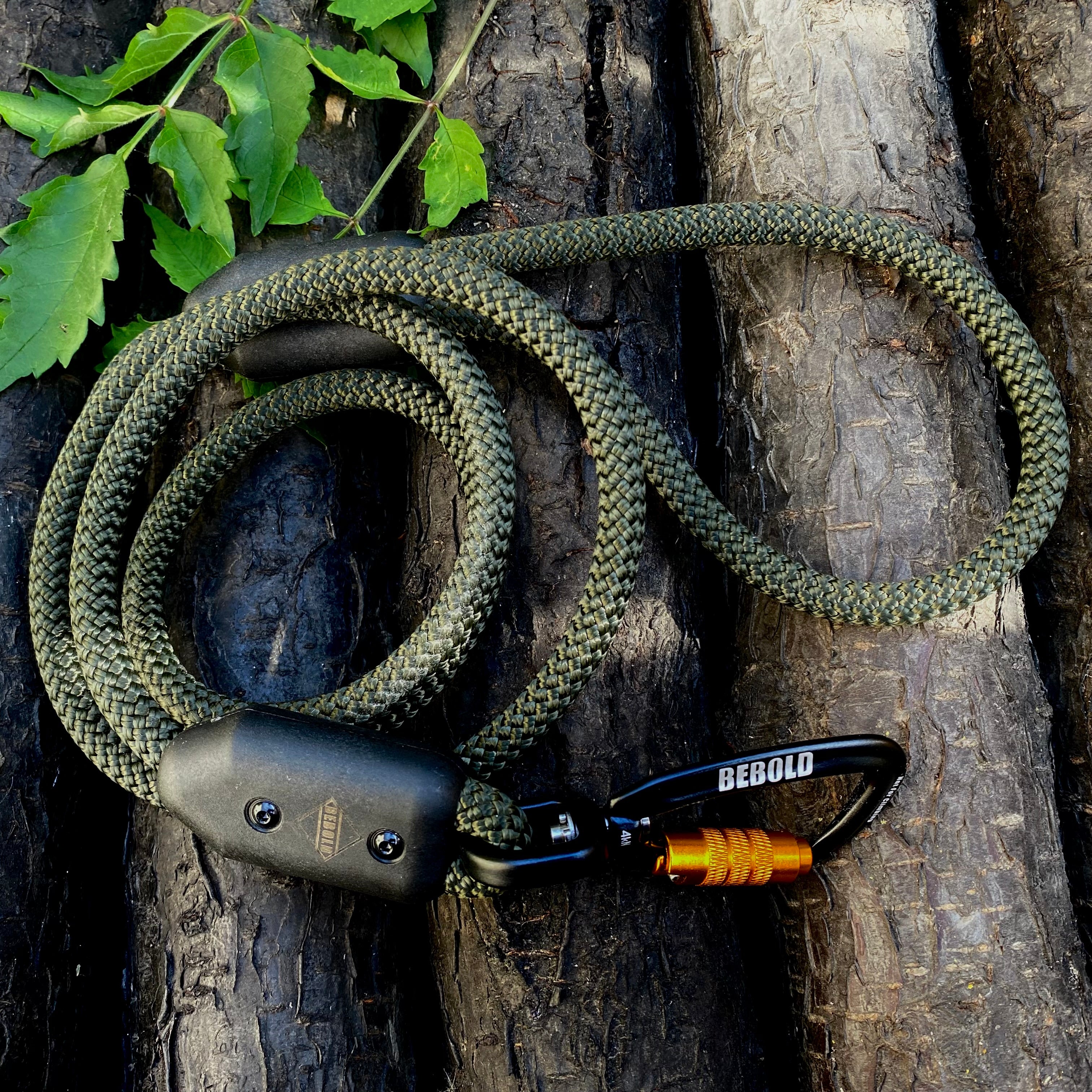 Boldwalk - Adventure